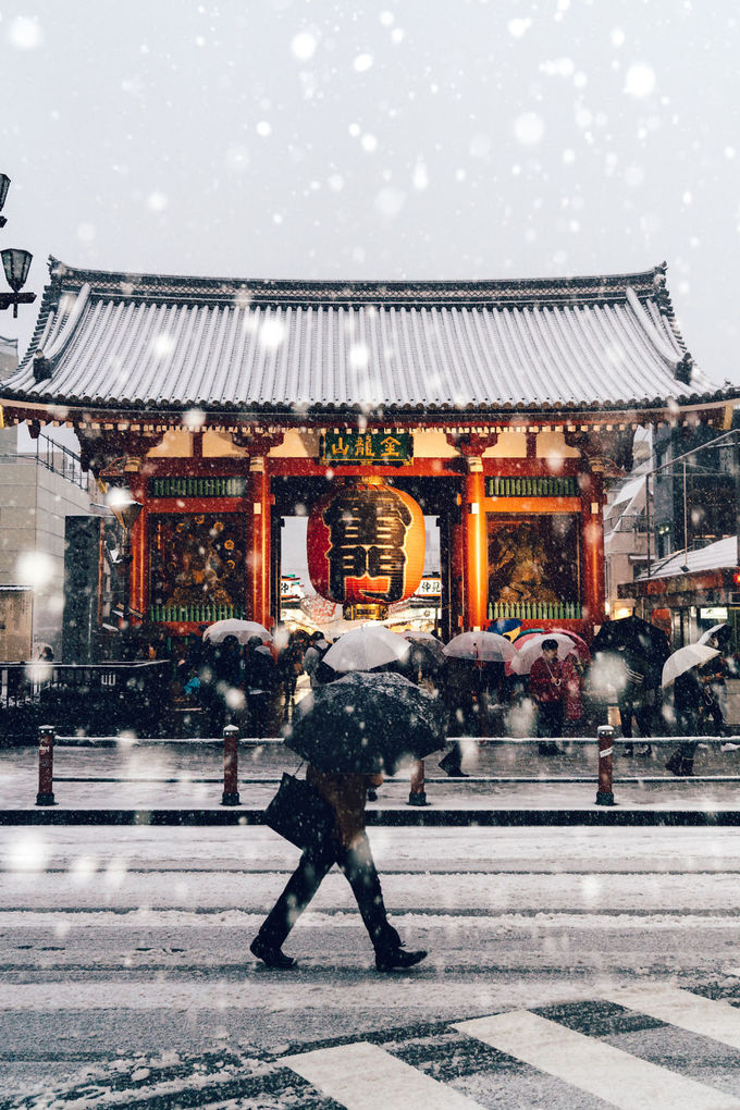 Tuyết rơi dày cũng không cản bước được khách du lịch dịp đầu năm tới tham quan Tokyo. 