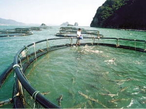 Du lịch V&acirc;n Đồn Quảng Ninh đang dần ph&aacute;t triển