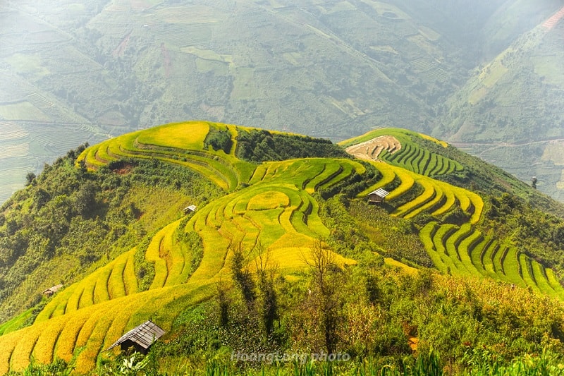 Những lán nhỏ bằng gỗ tre được đồng bào Mông dựng bên sườn ruộng bậc thang để tránh nắng, tránh mưa lúc làm