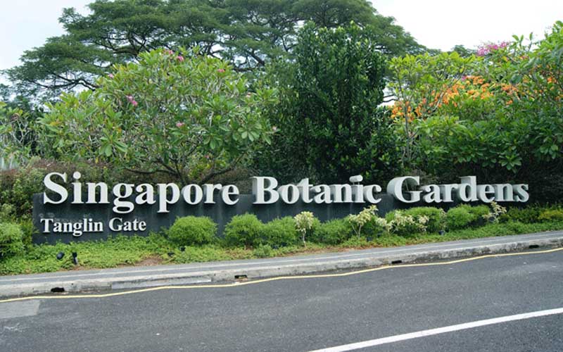 Kỳ thú Vườn bách thảo Singapore