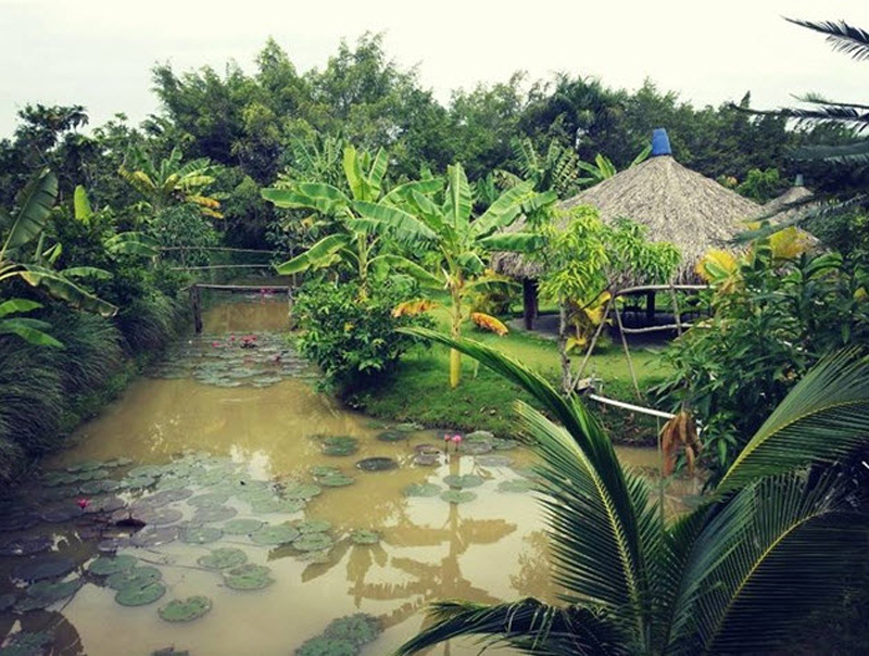 Vườn Cò - địa điểm hẹn hò lãng mạn dành cho các cặp đôi
