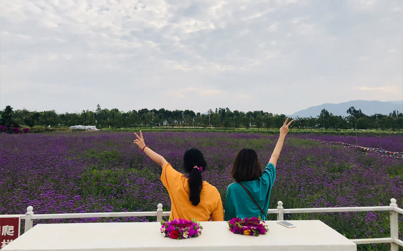 Check-in “so deep” tại Nông trại hoa Bốn Mùa ở Đại Lý – Vân Nam
