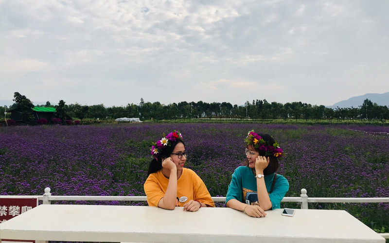 Check-in “so deep” tại Nông trại hoa Bốn Mùa ở Đại Lý – Vân Nam