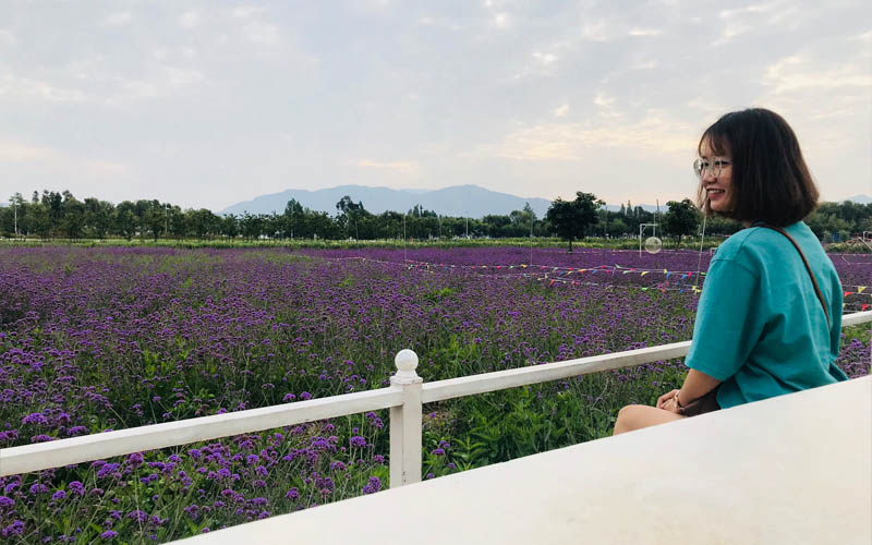 Check-in “so deep” tại Nông trại hoa Bốn Mùa ở Đại Lý – Vân Nam