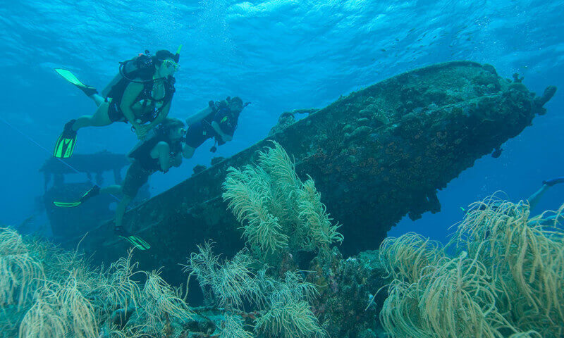 Xác tàu đắm Đông Tangat, Coron 