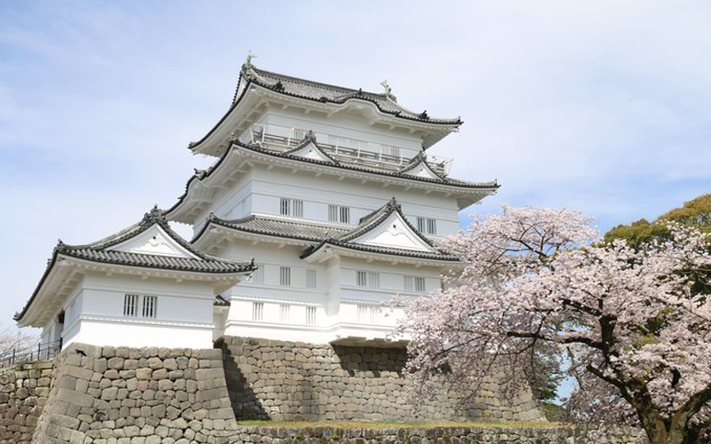 Ghé thăm Lâu đài Odawara