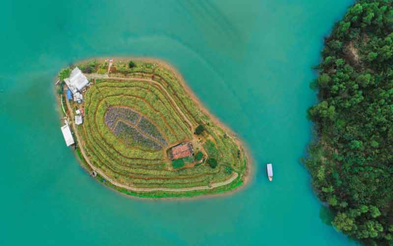 Có một hòn đảo hoa xinh đẹp giữa “vịnh Hạ Long” ngay tại Thái Nguyên