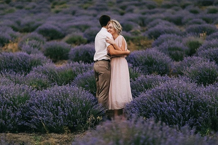 cánh đồng hoa oải hương đẹp nhất thế giới - Provence, Pháp