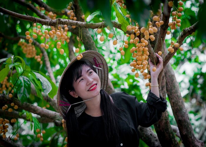 vườn trái cây gần Sài Gòn ở Cái Bè - Tiền Giang