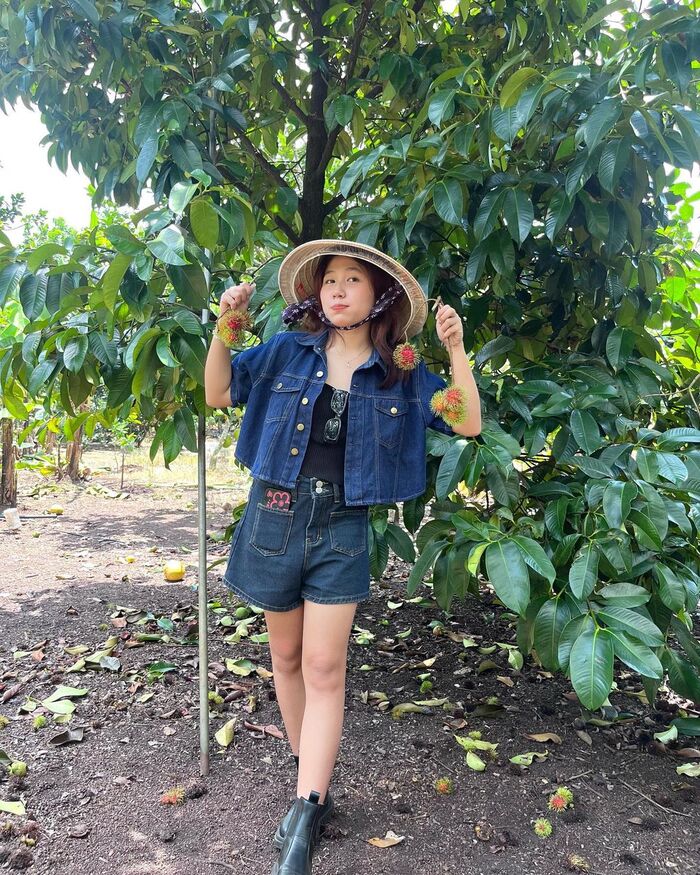 du lịch mùa hè tai các vườn trái cây gần Sài Gòn
