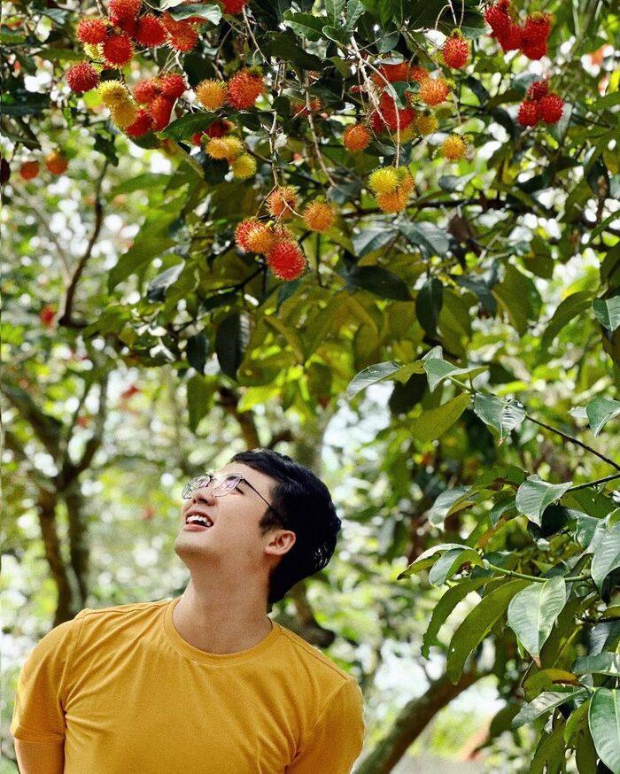 du lịch mùa hè tai các vườn trái cây gần Sài Gòn