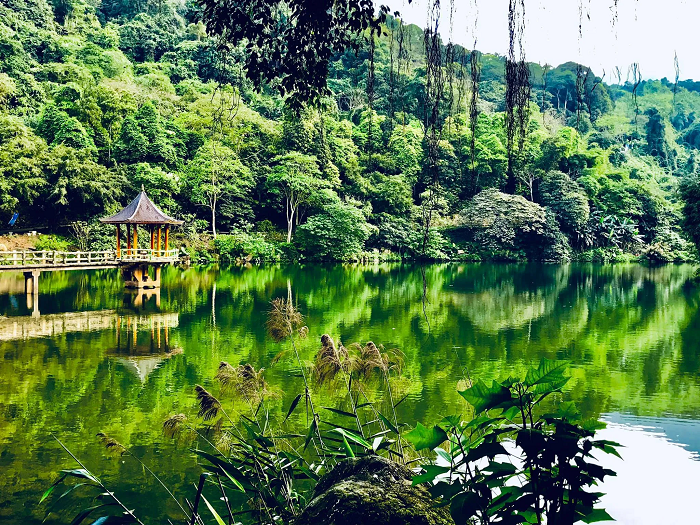 Cảnh sắc đẹp như cổ tích tại Khu du lịch sinh thái Thiên Sơn Suối Ngà