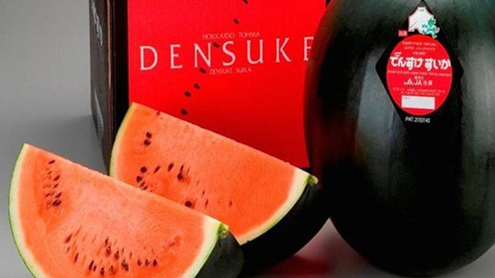 dưa hấu densuke là một trong những loại trái cây đắt nhất thế giới