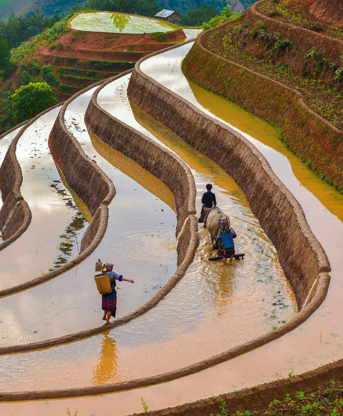 tháng 6 nên đi du lịch ở đâu