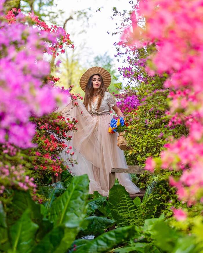 Các địa điểm ngắm mùa hoa Bluebells ở Anh - Isabella Plantation
