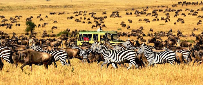 7 địa điểm du lịch châu Phi đẹp ngỡ ngàng - nơi muông thú làm chủ
