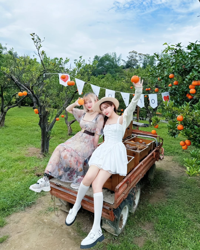 Thời tiết Miêu Lật rất thích hợp cho các hoạt động trải nghiệm