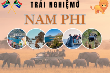 Từ safari tới ngắm cá voi: Trải nghiệm nên thử ở Nam Phi