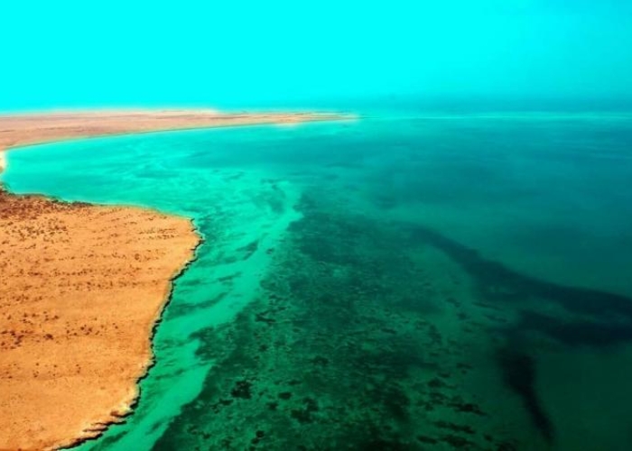 Du lịch Eritrea - Đảo Nocra là một địa điểm du lịch nổi tiếng, đặc biệt là đối với những người yêu thích lặn biển