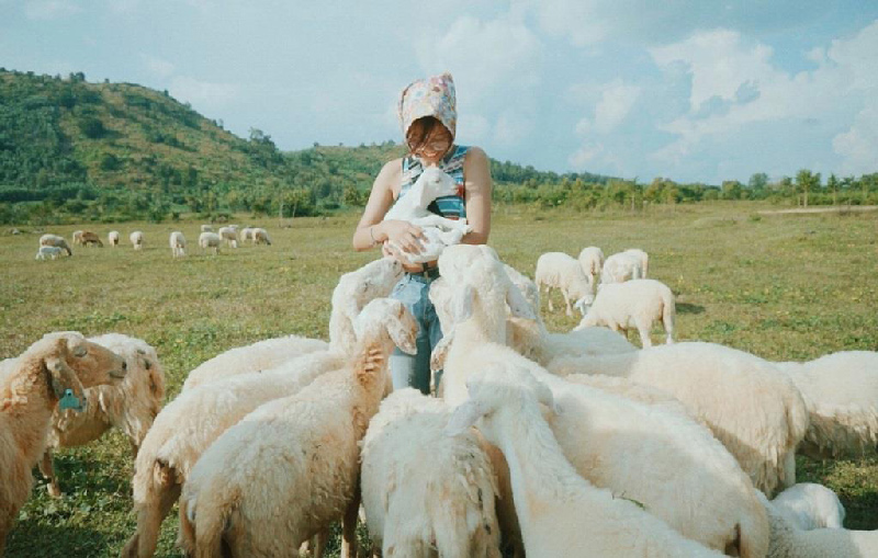 Thỏa mãn đam mê sống ảo với những địa điểm ở Ninh Thuận