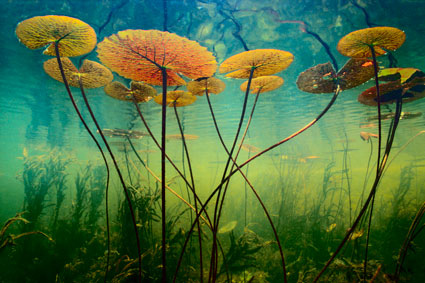  10 khu bảo tồn hoang d&atilde; đẹp nhất ch&acirc;u Phi