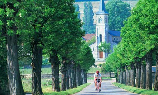 Hấp dẫn miền thôn quê Burgundy Pháp 