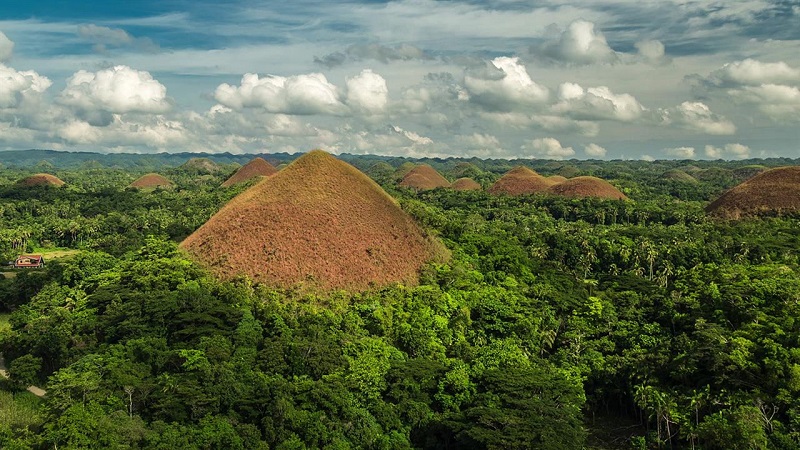 Chocolate Hills 