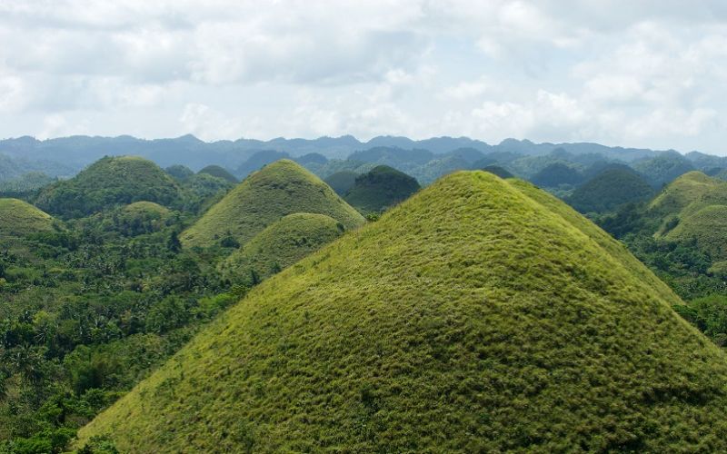 Chocolate Hills 