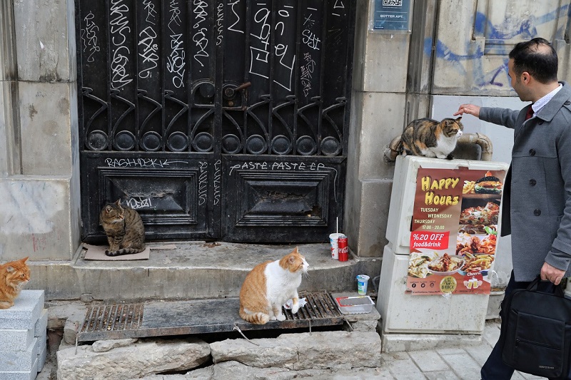 Istanbul