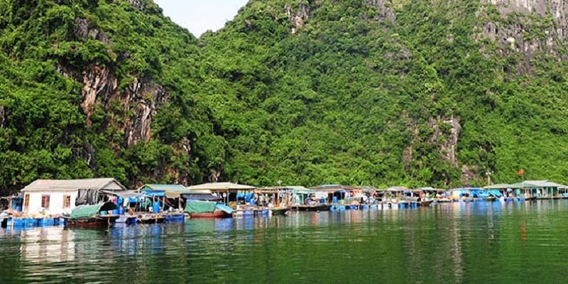 Làng chài Ba Hang - Hạ Long: Non nước hữu tình Làng chài Ba Hang - Hạ Long: Non nước hữu tình