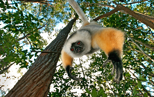 10 khu bảo tồn hoang d&atilde; đẹp nhất ch&acirc;u Phi