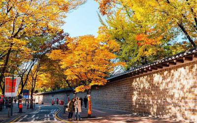 Bạn sẽ tiếc hùi hụi nếu bỏ lỡ mùa thu Hàn Quốc đẹp đến nao lòng thế này