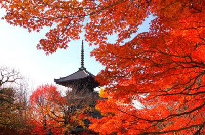 Check-in 10 điểm ngắm lá vàng lá đỏ đẹp 'nín thở' ở Kyoto, Nhật Bản