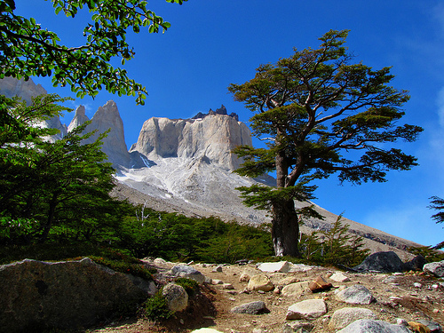 Khám phá bí ẩn thiên đường Patagonia, Chile