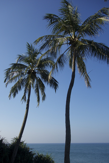 Sri Lanka, điểm đến tuyệt vời nhất năm 2013