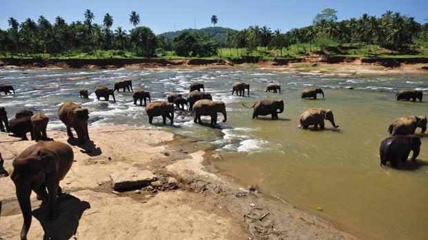 Sri Lanka, điểm đến tuyệt vời nhất năm 2013