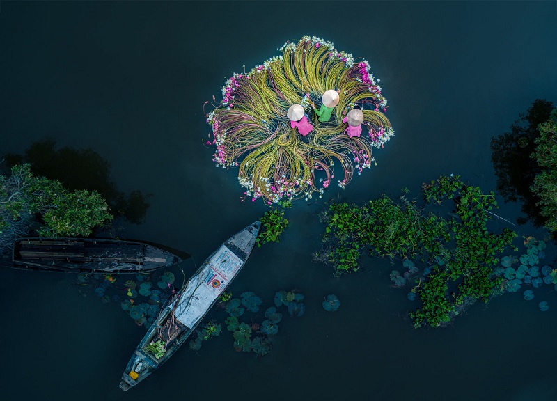 cuộc thi ảnh chụp trên không 