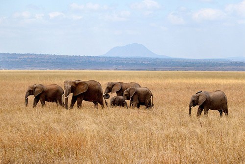 10 địa điểm tự nhiên không thể bỏ qua khi đến Tanzania