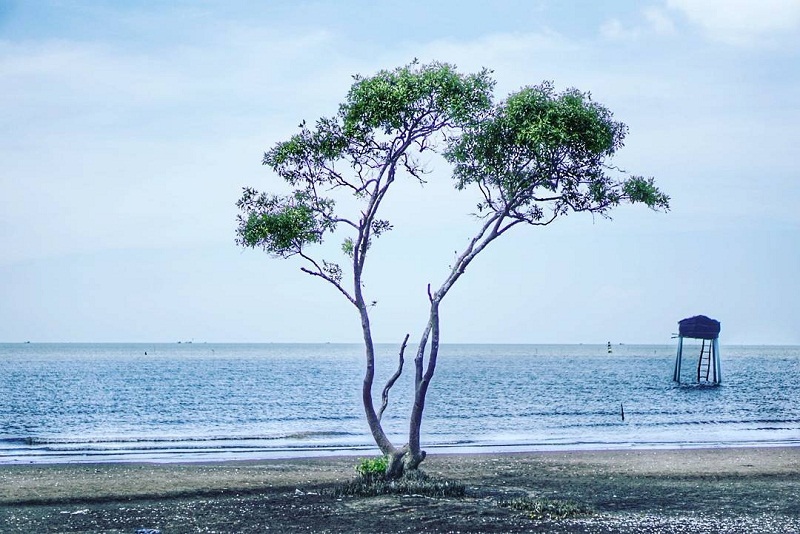 Biển Tân Thành điểm đến không thể bỏ qua ở xứ sở Gò Công