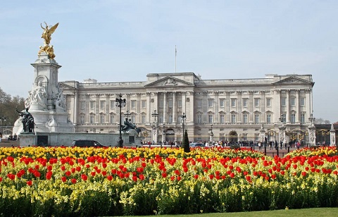 Cung điện Buckingham rực rỡ sắc hoa vào mùa xuân