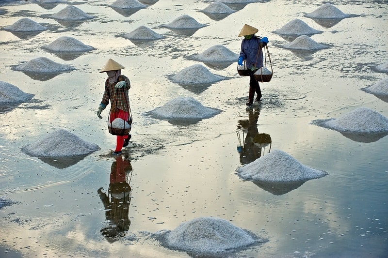 Cánh đồng muối ở xã đảo Thạnh An