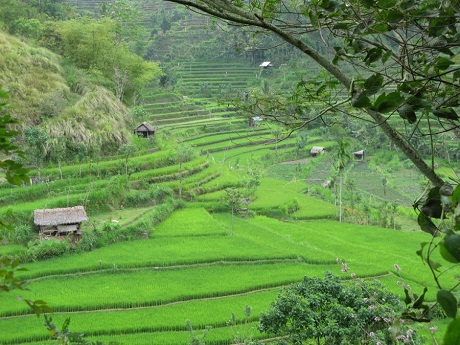 Hạ Long - địa điểm nên đi trong cuộc đời