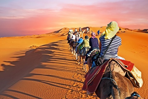 Cưỡi lạc đà đi trong sa mạc Sahara