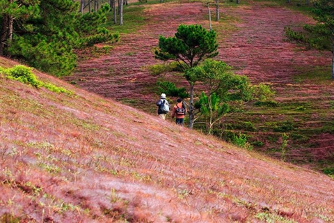 Đà Lạt