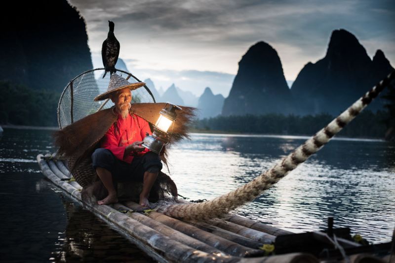  đánh bắt cá bằng chim cốc ở Quế Lâm