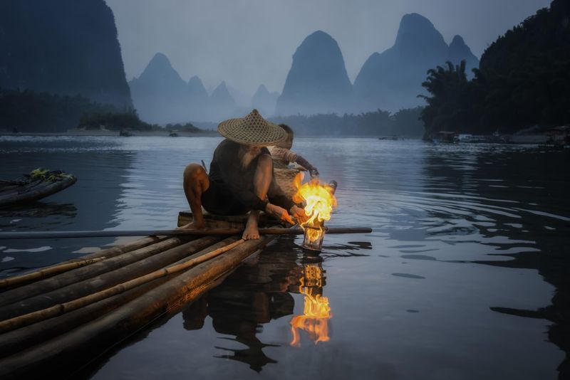  đánh bắt cá bằng chim cốc ở Quế Lâm