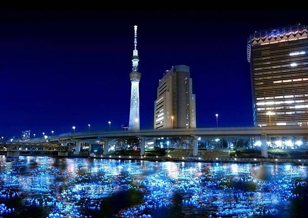 Vũ điệu của ánh sáng trong lễ hội Tokyo Hotaru