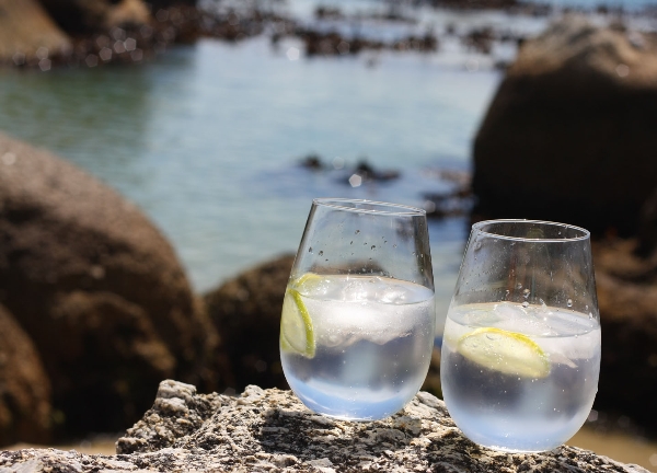 Gin Tonic, Ấn Độ