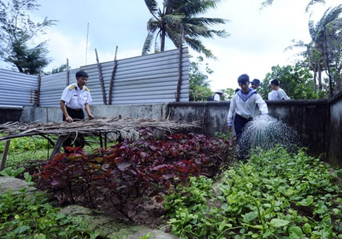 Lạc vào " vương quốc đu đủ"  trên biển