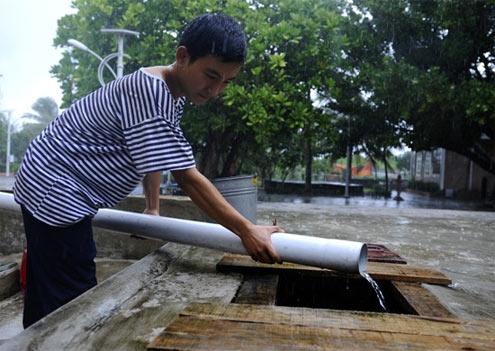 Lạc vào " vương quốc đu đủ"  trên biển